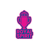 Rajasthan Spirit Rolls On